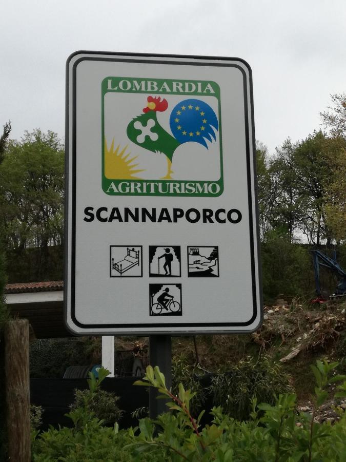Agriturismo Scannaporco 카브리아나 외부 사진